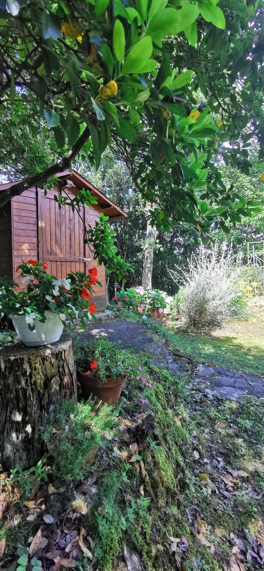 Bed and Breakfast Mame à Bettona Extérieur photo